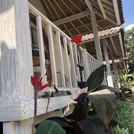 The Lucky Cottage